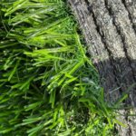 Artificial Turf – Premium 72 oz - Image 3
